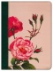 KJV Wide Margin Bible, Filament Enabled Edition, Leatherlike, Pink Rose Garden